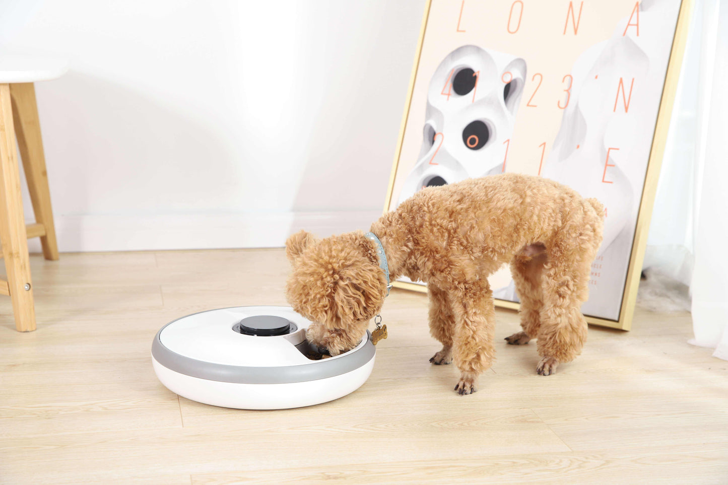 Smart Electronic Auto 6 Mahlzeit Tabletts Katze Hund Schüssel Timed Electric Automatic Pet Feeder